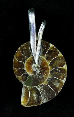Ammonite Fossil Pendant - Sterling Silver #21027